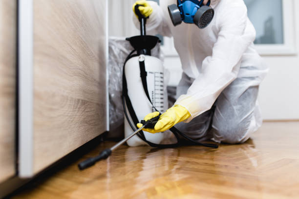 Best Pest Control Near Me in Tichigan, WI