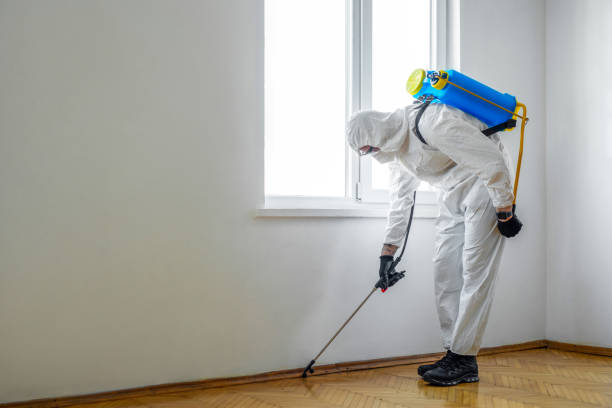Reliable Tichigan, WI Pest Control Solutions