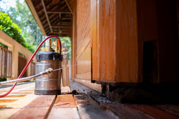 Best Best Pest Control Companies  in Tichigan, WI
