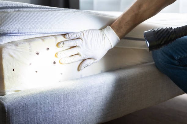 Best Pest Removal Services  in Tichigan, WI
