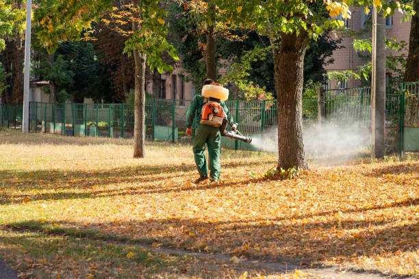 Best Wasp Removal Services  in Tichigan, WI