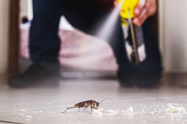 Best Flea Control Services  in Tichigan, WI