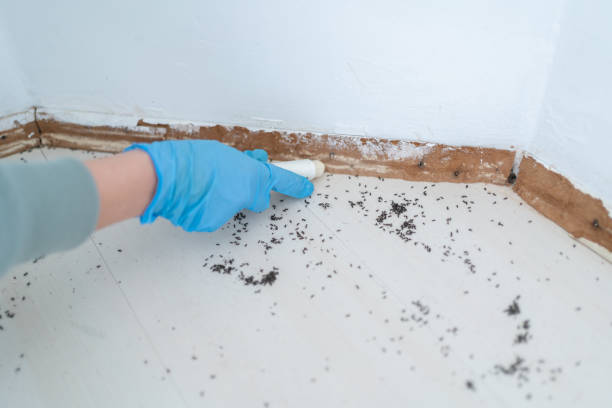 Pest Prevention Services in Tichigan, WI