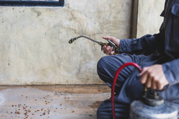 Best Affordable Pest Control Services  in Tichigan, WI